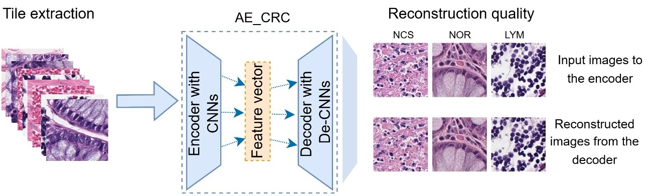Schematic illustrating one phase of the DeepCluster++ workflow to reconstruct images from real datasets in an AI model.