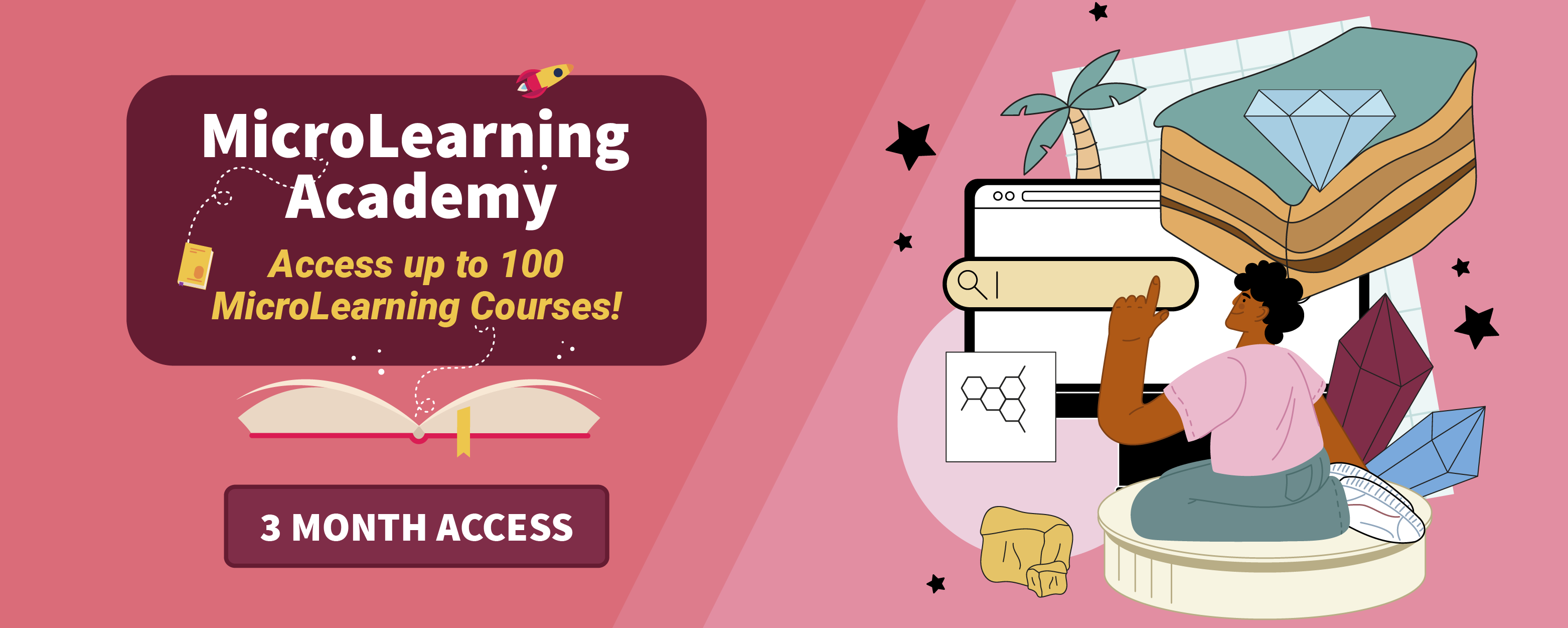 MicroLearning Academy 3-month access