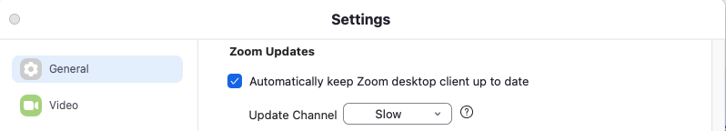 Zoom settings menu highlighting the Automatically keep Zoom desktop client up to date as enabled and the Update Channel option is Slow.