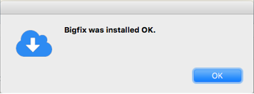 message saying that BigFix was installed OK