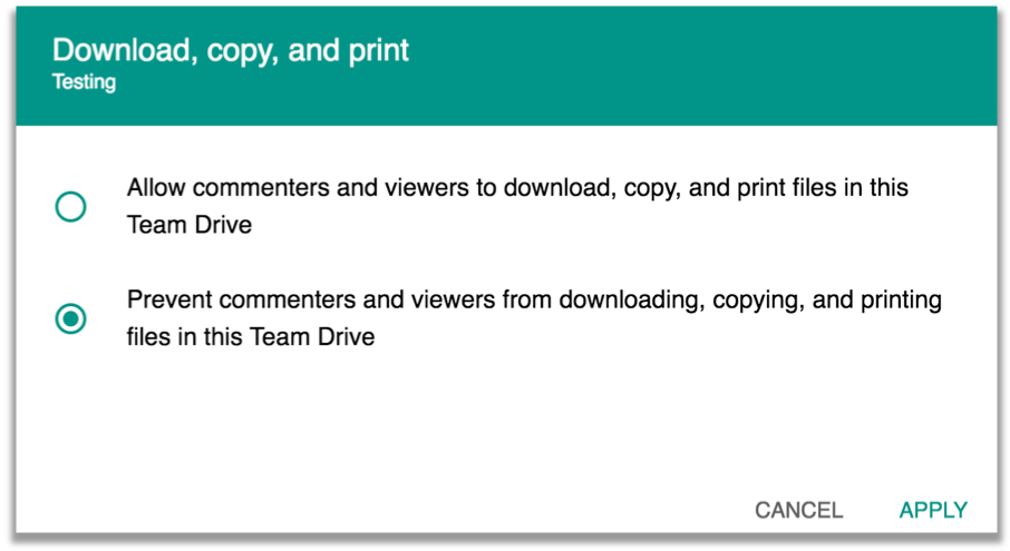 options to download, copy, or print