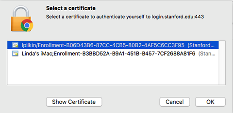 select a certificate to use for authentication