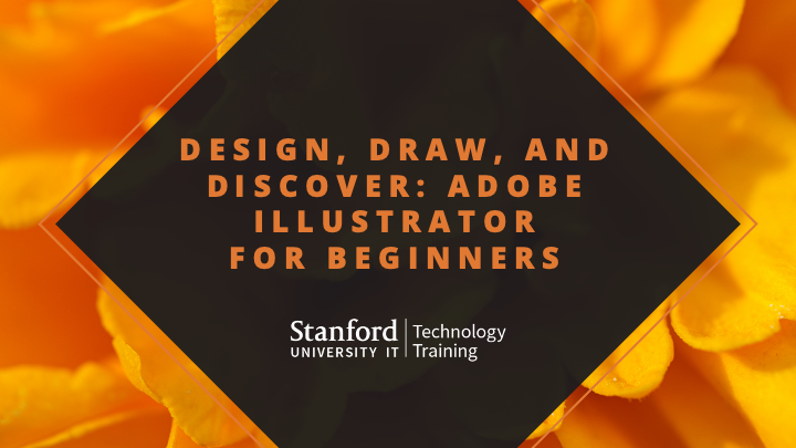 Design, Draw, and Discover: Adobe Illustrator for Beginners