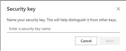 enter name of security key