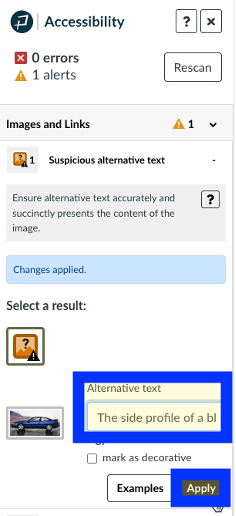 The accessibility guide with the alt text field highlighted.