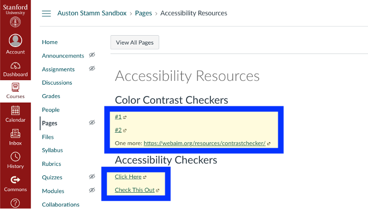 Canvas page with inaccessible links highlighted.
