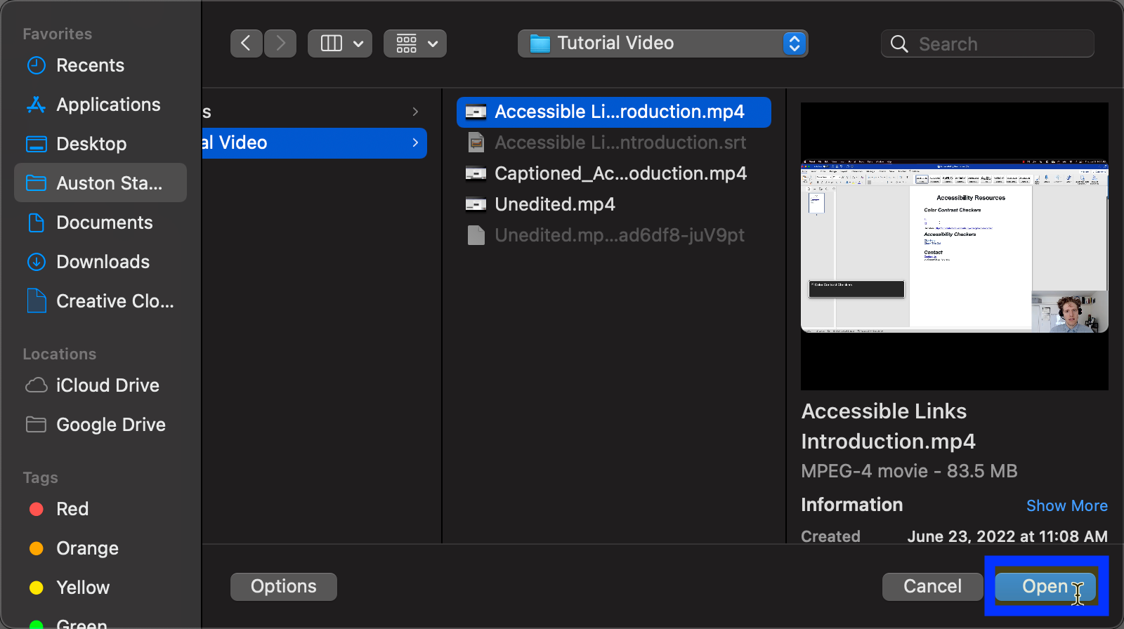 Canvas media selection window with video selected.