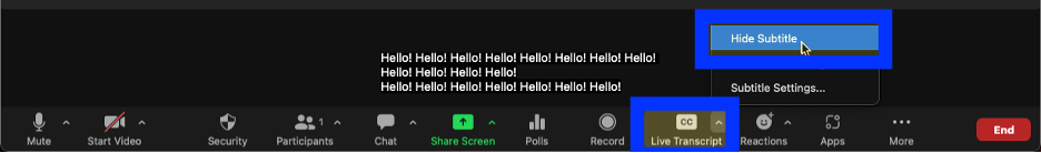 Zoom toolbar with Live Caption carrot selected and hide subtitle highlighted.