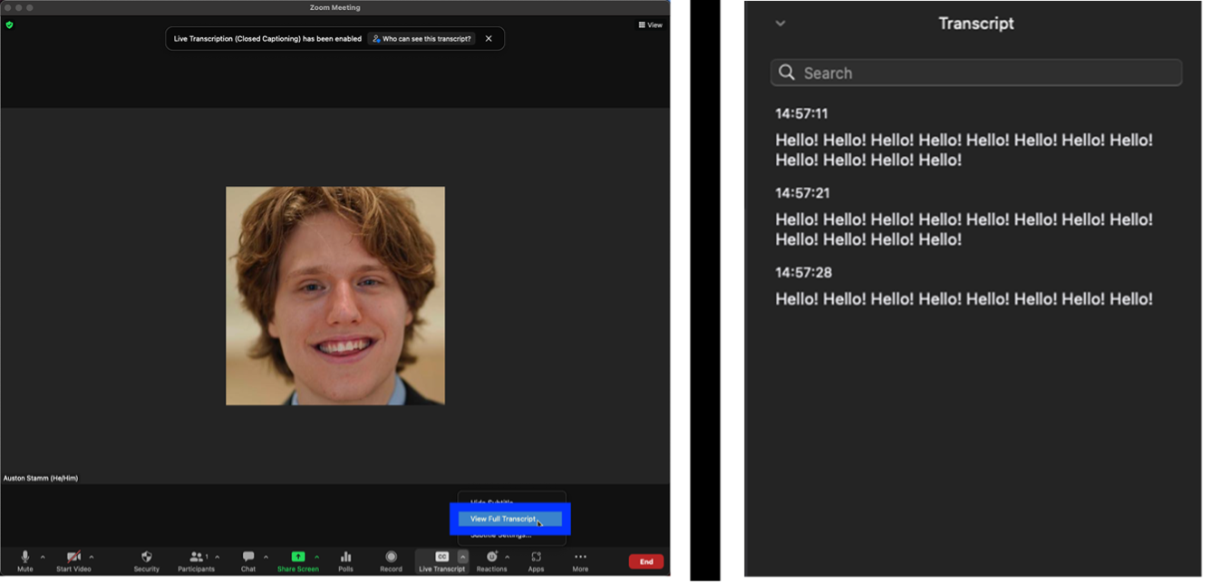 Zoom meeting window with view transcript pane open.
