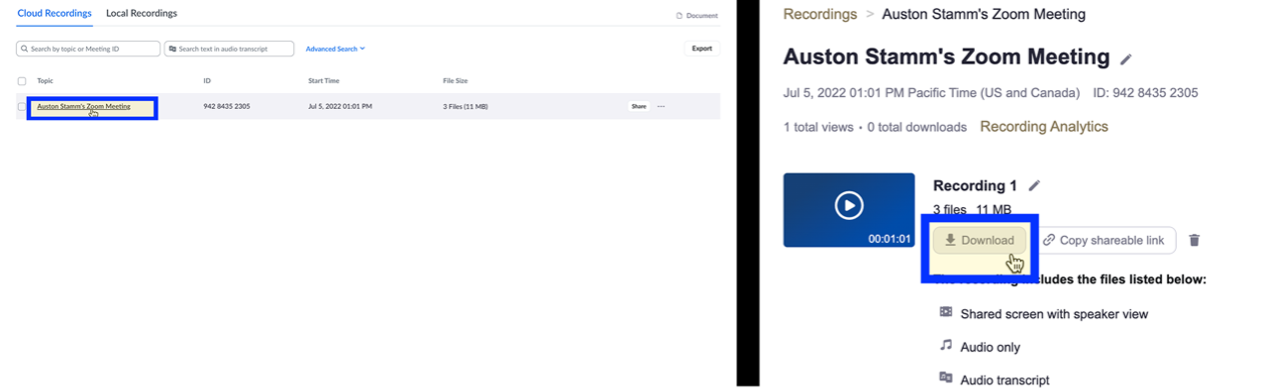Zoom recording webpage with download meeting highlighted.