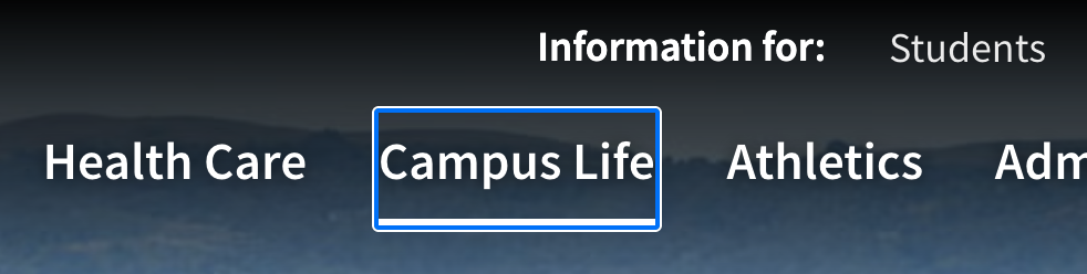 The main Stanford website with one link in visual focus.