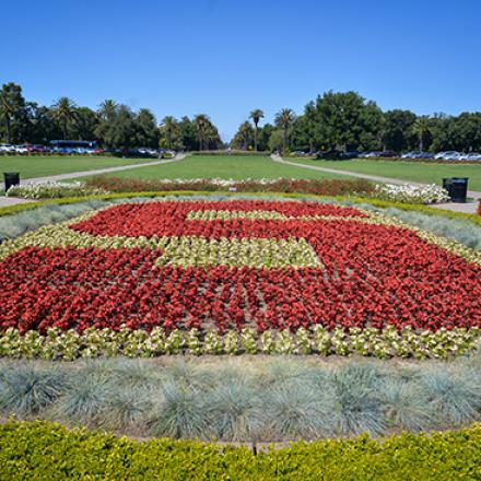 Image of Stanford garden